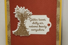 Autumn Goodness Stamp Set